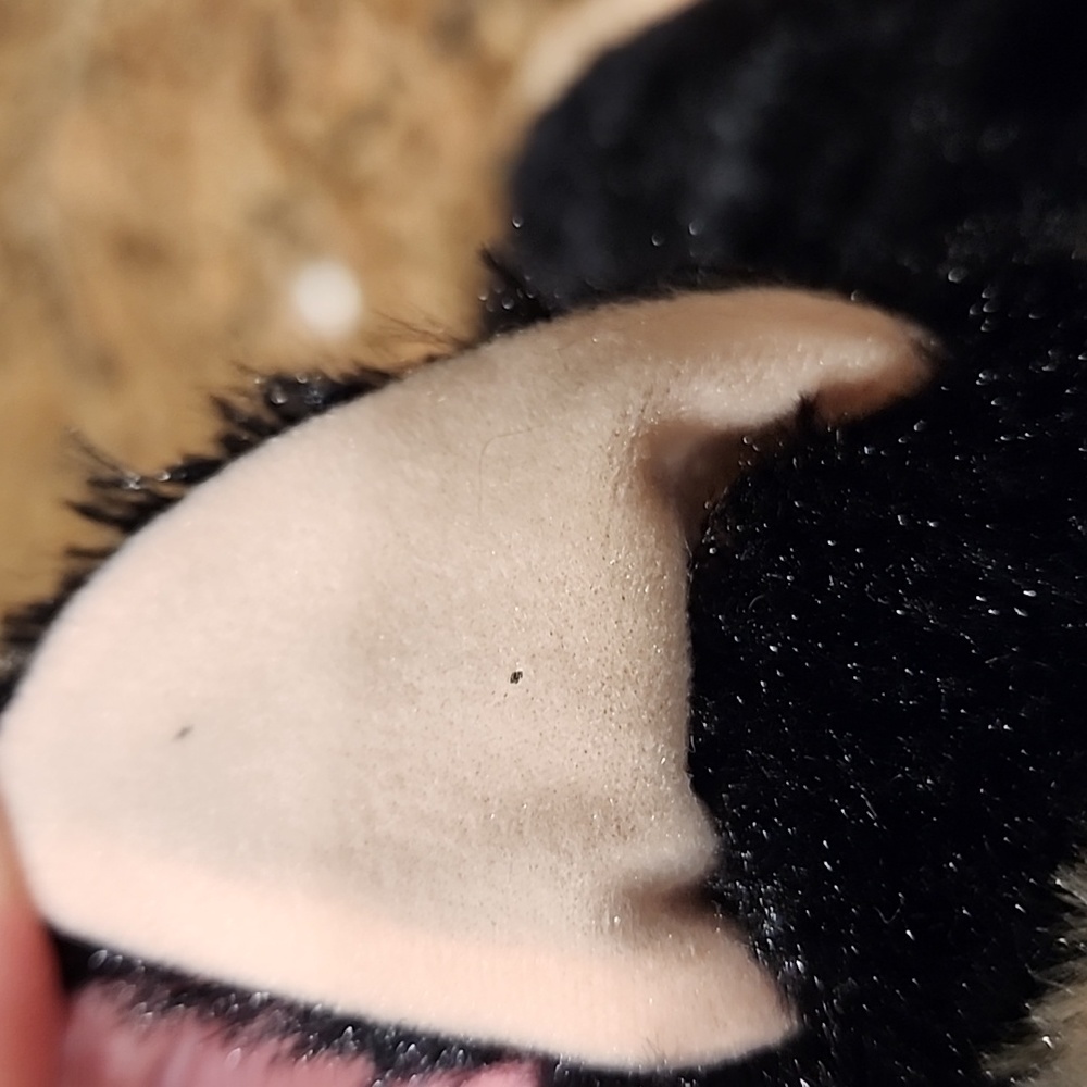 Build-A-Bear German Shepard - Picture 10 of 10